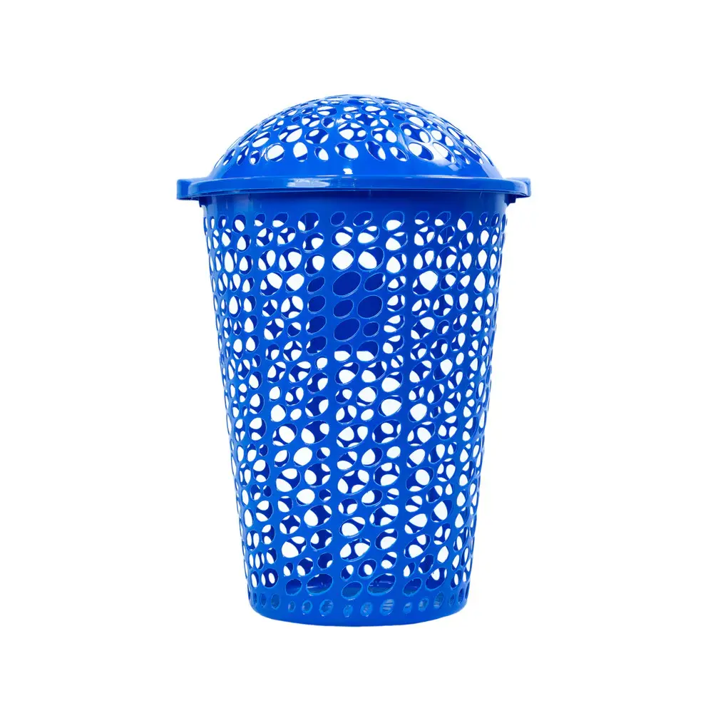 N55 - Milky L. (B) SAC ¹²