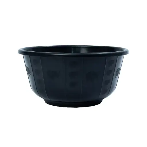 [V53] V53 - Elephant 2 ¹²