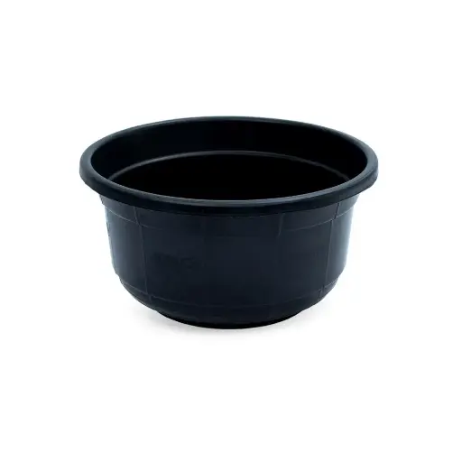 [V124] V124 - 25L Sacvin Family