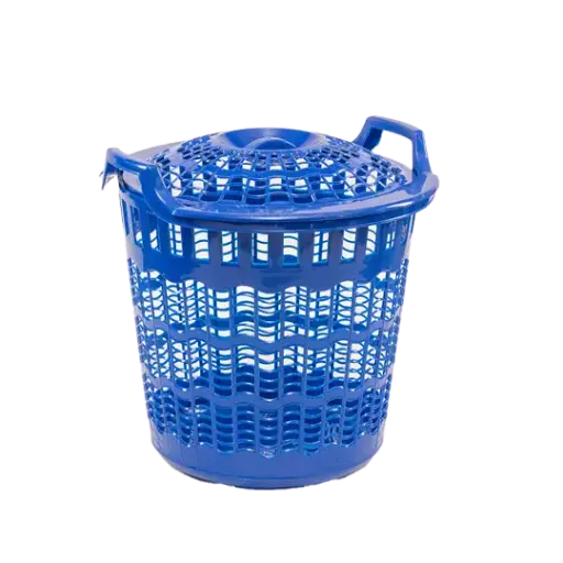 [N52] N52 - Bounty Basket