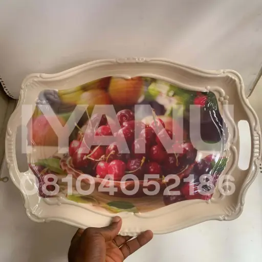 [T41] T41 - Jelly Tray 218 (S)